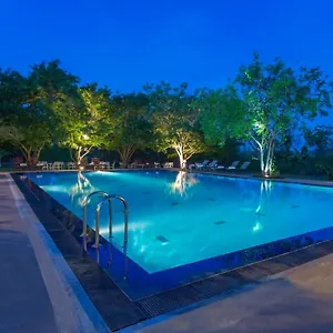 https://kassapa-lions-rock.kandyhotelsnow.com